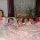 Picture004